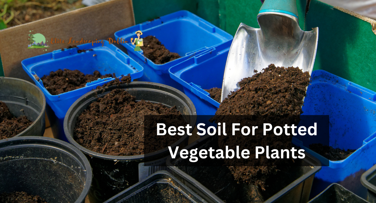 Best Soil For Potted Vegetable Plants
