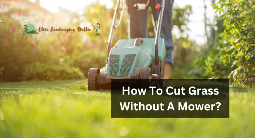 How To Cut Grass Without A Mower?