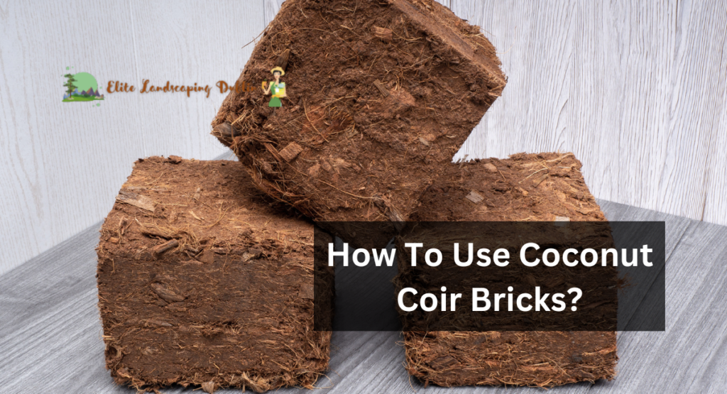 How To Use Coconut Coir Bricks?